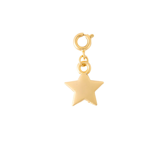 Matte Gold Star Charm