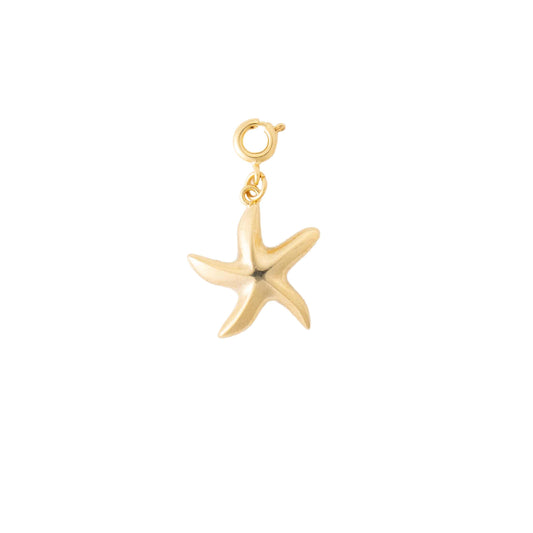 Gold Sea Star Charm
